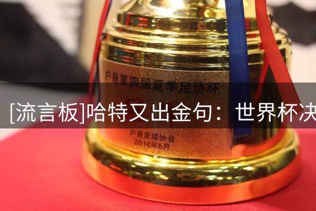 [流言板]哈特又出金句：世界杯决赛也就还好，但氛围是真的顶级